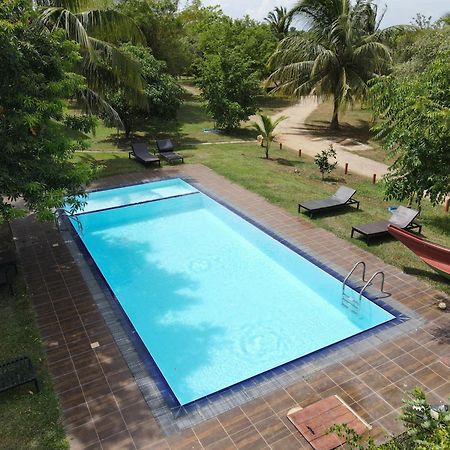 Yala Peace Cottages Tissamaharama Bagian luar foto